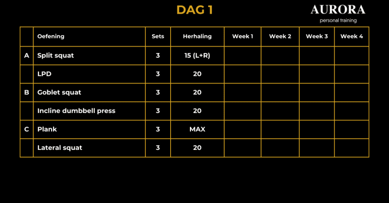 Zo werkt online personal training stap voor stap